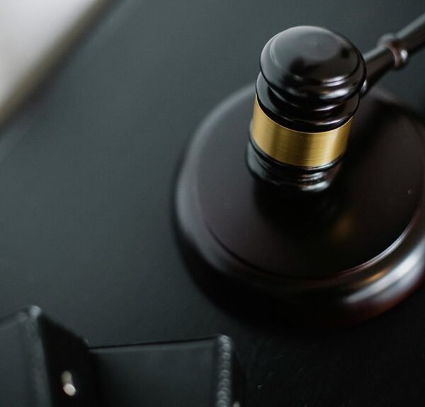 seo power search authority