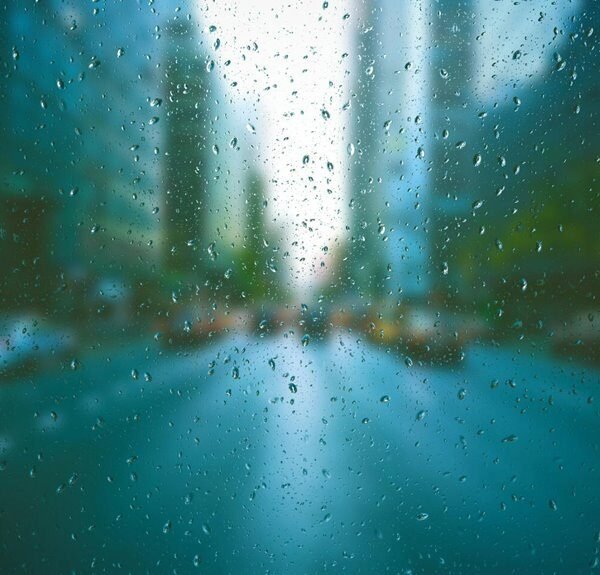 website authority for traffic